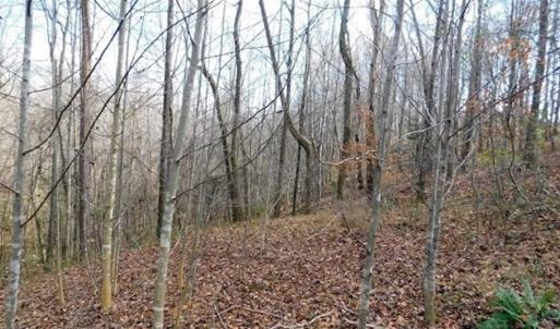 Photo of 19.32 Acres of Residential and Hunting Land For Sale in Bedford County VA!