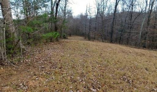 Photo of 19.32 Acres of Residential and Hunting Land For Sale in Bedford County VA!