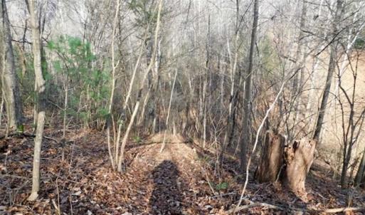 Photo of 19.32 Acres of Residential and Hunting Land For Sale in Bedford County VA!