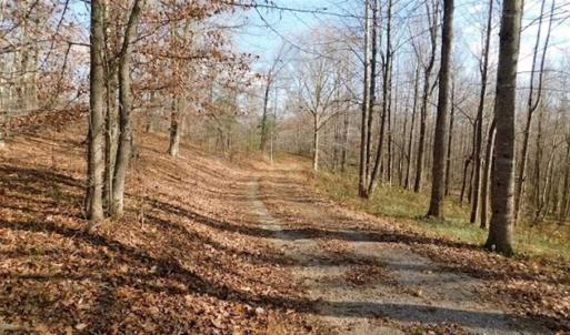 Photo of 19.32 Acres of Residential and Hunting Land For Sale in Bedford County VA!