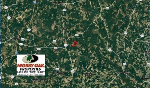 Photo of 302 + / - Acres of Hunting and Timberland for Sale in Sussex County VA!