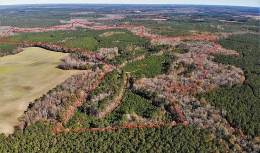 Photo of 302 + / - Acres of Hunting and Timberland for Sale in Sussex County VA!
