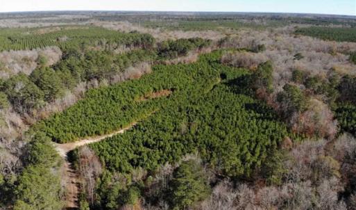 Photo of 302 + / - Acres of Hunting and Timberland for Sale in Sussex County VA!