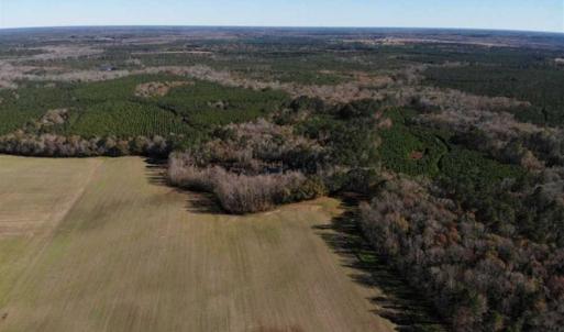 Photo of 302 + / - Acres of Hunting and Timberland for Sale in Sussex County VA!