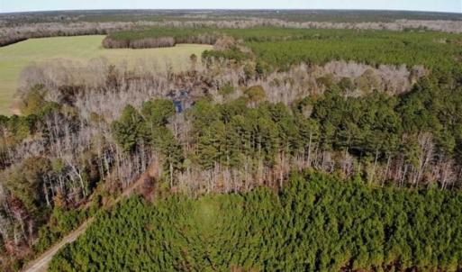 Photo of 302 + / - Acres of Hunting and Timberland for Sale in Sussex County VA!