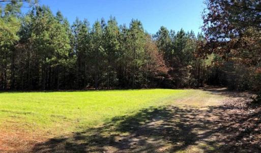 Photo of 302 + / - Acres of Hunting and Timberland for Sale in Sussex County VA!