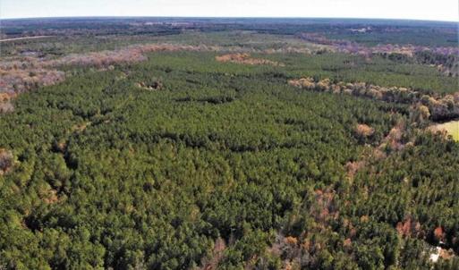 Photo of 302 + / - Acres of Hunting and Timberland for Sale in Sussex County VA!