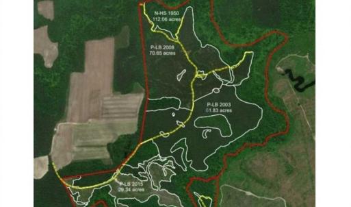Photo of 302 + / - Acres of Hunting and Timberland for Sale in Sussex County VA!