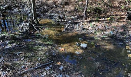Photo of 302 + / - Acres of Hunting and Timberland for Sale in Sussex County VA!
