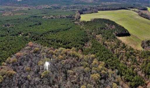Photo of 302 + / - Acres of Hunting and Timberland for Sale in Sussex County VA!