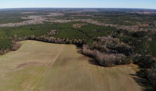 Photo of 302 + / - Acres of Hunting and Timberland for Sale in Sussex County VA!