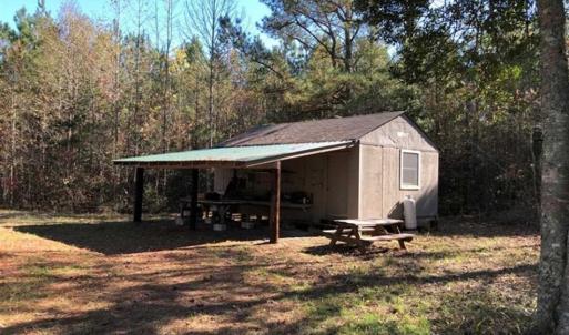 Photo of 302 + / - Acres of Hunting and Timberland for Sale in Sussex County VA!