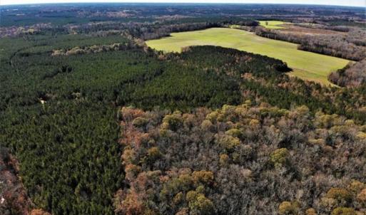 Photo of 302 + / - Acres of Hunting and Timberland for Sale in Sussex County VA!