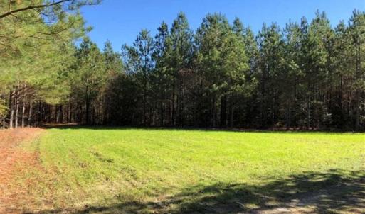 Photo of 302 + / - Acres of Hunting and Timberland for Sale in Sussex County VA!