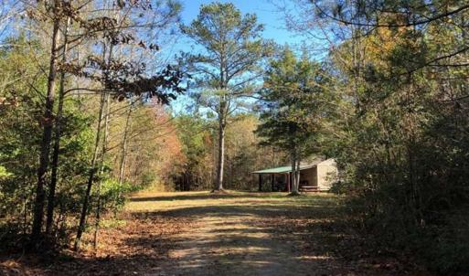 Photo of 302 + / - Acres of Hunting and Timberland for Sale in Sussex County VA!