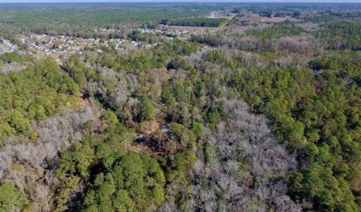 Photo of UNDER CONTRACT!!  50 Acres of Recreational and Hunting Land for Sale in Cumberland County NC!