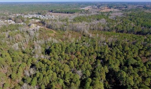 Photo of UNDER CONTRACT!!  50 Acres of Recreational and Hunting Land for Sale in Cumberland County NC!