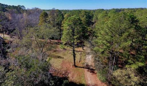 Photo of UNDER CONTRACT!!  50 Acres of Recreational and Hunting Land for Sale in Cumberland County NC!