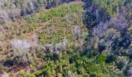 Photo of UNDER CONTRACT!!  50 Acres of Recreational and Hunting Land for Sale in Cumberland County NC!