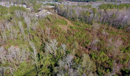 Photo of UNDER CONTRACT!!  50 Acres of Recreational and Hunting Land for Sale in Cumberland County NC!
