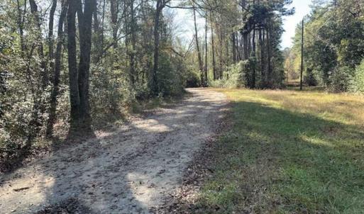 Photo of UNDER CONTRACT!!  50 Acres of Recreational and Hunting Land for Sale in Cumberland County NC!
