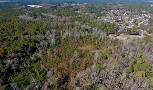 Photo of UNDER CONTRACT!!  50 Acres of Recreational and Hunting Land for Sale in Cumberland County NC!