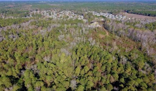 Photo of UNDER CONTRACT!!  50 Acres of Recreational and Hunting Land for Sale in Cumberland County NC!