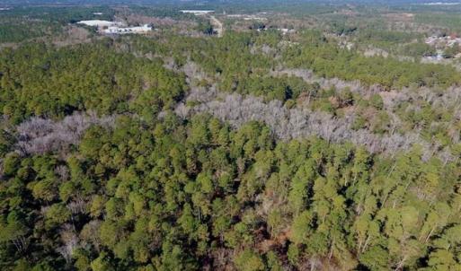 Photo of UNDER CONTRACT!!  50 Acres of Recreational and Hunting Land for Sale in Cumberland County NC!