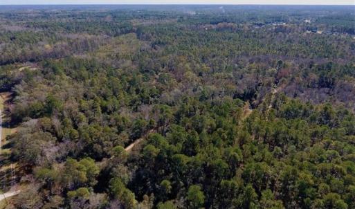 Photo of UNDER CONTRACT!!  50 Acres of Recreational and Hunting Land for Sale in Cumberland County NC!