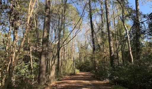 Photo of UNDER CONTRACT!!  50 Acres of Recreational and Hunting Land for Sale in Cumberland County NC!