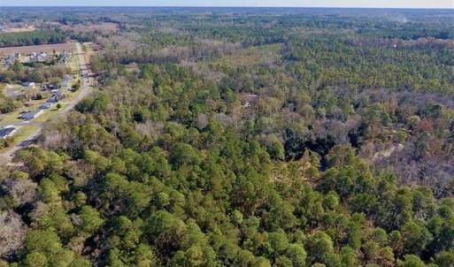 Photo of UNDER CONTRACT!!  50 Acres of Recreational and Hunting Land for Sale in Cumberland County NC!