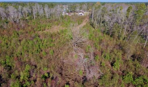 Photo of UNDER CONTRACT!!  50 Acres of Recreational and Hunting Land for Sale in Cumberland County NC!