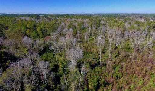 Photo of UNDER CONTRACT!!  50 Acres of Recreational and Hunting Land for Sale in Cumberland County NC!
