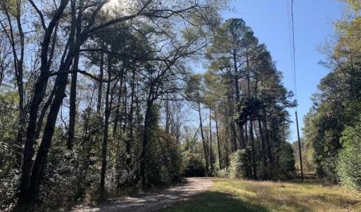 Photo of UNDER CONTRACT!!  50 Acres of Recreational and Hunting Land for Sale in Cumberland County NC!