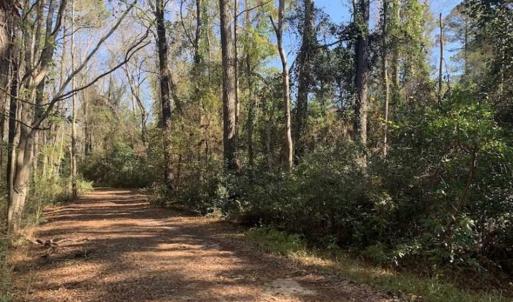 Photo of UNDER CONTRACT!!  50 Acres of Recreational and Hunting Land for Sale in Cumberland County NC!