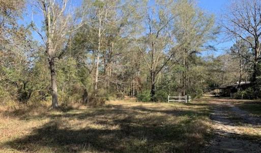 Photo of UNDER CONTRACT!!  50 Acres of Recreational and Hunting Land for Sale in Cumberland County NC!