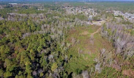 Photo of UNDER CONTRACT!!  50 Acres of Recreational and Hunting Land for Sale in Cumberland County NC!