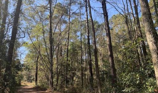 Photo of UNDER CONTRACT!!  50 Acres of Recreational and Hunting Land for Sale in Cumberland County NC!