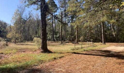 Photo of UNDER CONTRACT!!  50 Acres of Recreational and Hunting Land for Sale in Cumberland County NC!
