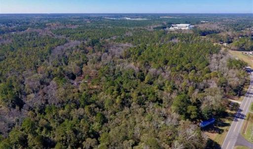 Photo of UNDER CONTRACT!!  50 Acres of Recreational and Hunting Land for Sale in Cumberland County NC!