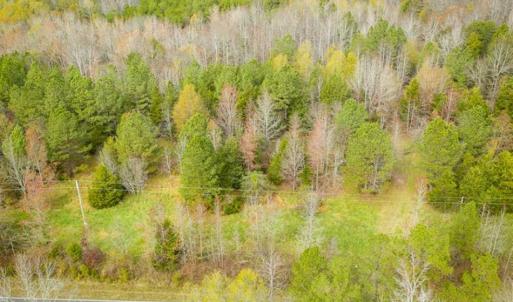 Photo of 9.28 +/-  acres of Building / Recreational Land for Sale in Person County, NC!