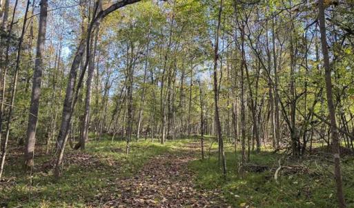 Photo of 9.28 +/-  acres of Building / Recreational Land for Sale in Person County, NC!