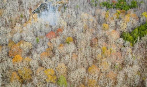 Photo of 9.28 +/-  acres of Building / Recreational Land for Sale in Person County, NC!