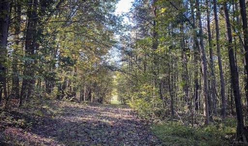 Photo of 9.28 +/-  acres of Building / Recreational Land for Sale in Person County, NC!