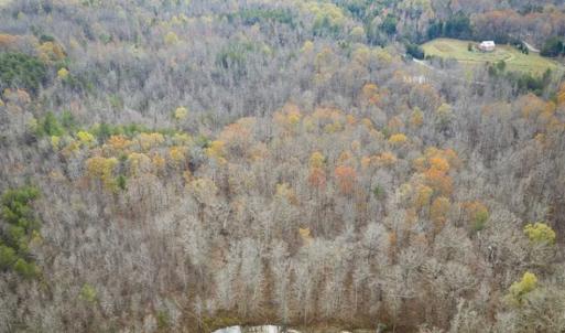 Photo of 9.28 +/-  acres of Building / Recreational Land for Sale in Person County, NC!