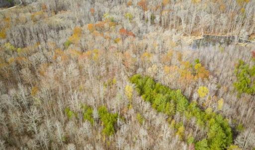 Photo of 9.28 +/-  acres of Building / Recreational Land for Sale in Person County, NC!
