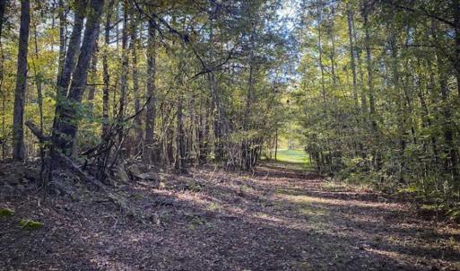 Photo of 9.28 +/-  acres of Building / Recreational Land for Sale in Person County, NC!