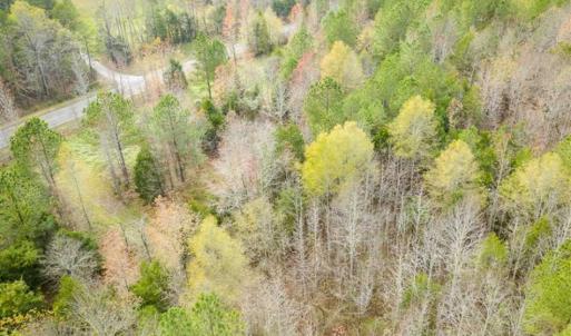 Photo of 9.28 +/-  acres of Building / Recreational Land for Sale in Person County, NC!