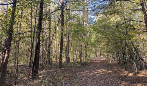 Photo of 9.28 +/-  acres of Building / Recreational Land for Sale in Person County, NC!