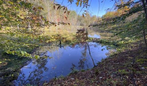 Photo of 9.28 +/-  acres of Building / Recreational Land for Sale in Person County, NC!
